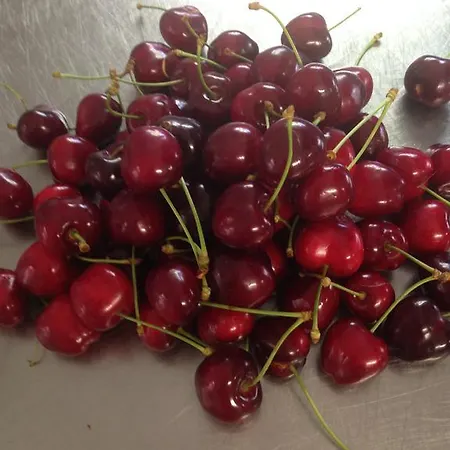 Lucerna 2* צ'סנטיקו