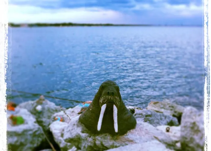 Lucerna Отель Чезенатико