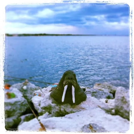 Lucerna Hotel Cesenatico