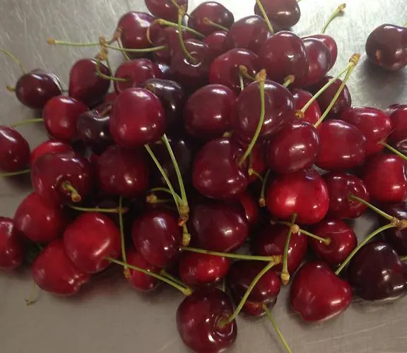 Lucerna 2* Cesenatico